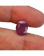 Ruby - 4.47 Carat 