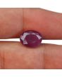 Ruby - 4.55 Carat 