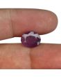 Ruby - 4.34 Carat 