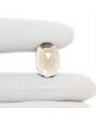 Smoky Quartz 7 Carat 