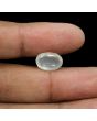 Srilankan Moonstone 6.43 Carat 