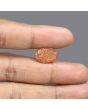 Sunstone 8.44 Carat 