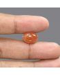 Sunstone 7.55 Carat 
