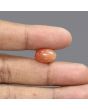 Sunstone 7.7 Carat 
