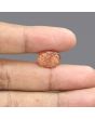 Sunstone 8.22 Carat 
