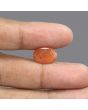 Sunstone 5.57 Carat 