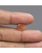 Sunstone 5.09 Carat 