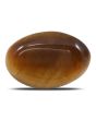 Natural Tiger Eye Gemstone Cts 11.04 Ratti 12.14