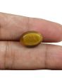 Natural Tiger Eye Gemstone Cts 10.4 Ratti 11.44