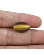 Natural Tiger Eye Gemstone Cts 12.24 Ratti 13.46