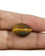 Natural Tiger Eye Gemstone Cts 13.81 Ratti 15.19