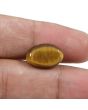 Natural Tiger Eye Gemstone Cts 8.8 Ratti 9.68