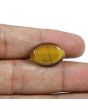 Natural Tiger Eye Gemstone Cts 14.3 Ratti 15.73