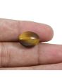 Natural Tiger Eye Gemstone Cts 10.85 Ratti 11.94