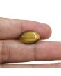 Natural Tiger Eye Gemstone Cts 9.73 Ratti 10.7