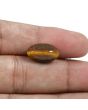 Natural Tiger Eye Gemstone Cts 7.91 Ratti 8.7