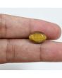 Natural Tiger Eye Gemstone Cts 6.68 Ratti 7.35