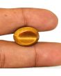 Natural Tiger Eye Gemstone Cts 12.08 Ratti 13.29