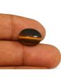 Natural Tiger Eye Gemstone Cts 9.78 Ratti 10.76