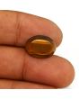 Natural Tiger Eye Gemstone Cts 9.78 Ratti 10.76