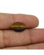 Natural Tiger Eye Gemstone Cts 6.86 Ratti 7.55