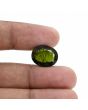 Green Tourmaline 9.84 Carat 