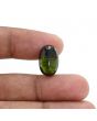 Green Tourmaline 9.03 Carat