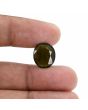 Green Tourmaline 7.66 Carat