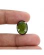 Green Tourmaline 9.73 Carat