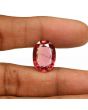 Natural Tourmaline Cts 12.85 Ratti 14.14