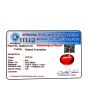 Natural Tourmaline Cts 12.85 Ratti 14.14