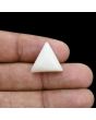 Japani White Coral 14.35 Carat 
