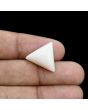 Japani White Coral 14.35 Carat 