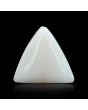 Japani White Coral 10.95 Carat 