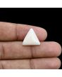 Japani White Coral 9.94 Carat 