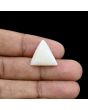 Japani White Coral 12.18 Carat 