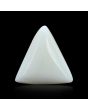 Japani White Coral 18.16 Carat 