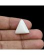 Japani White Coral 18.16 Carat 