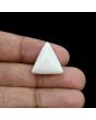 Japani White Coral 18.16 Carat 