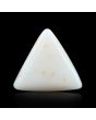 Japani White Coral 12.71 Carat 