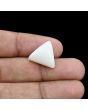 Japani White Coral 12.71 Carat 