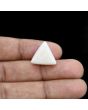 Japani White Coral 12.71 Carat 