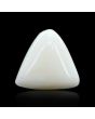 Japani White Coral 12.99 Carat 