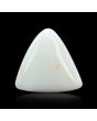 Japani White Coral 12.99 Carat 