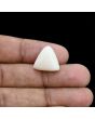 Japani White Coral 12.99 Carat 
