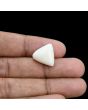 Japani White Coral 12.99 Carat 