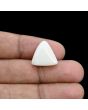 Japani White Coral 12.99 Carat 