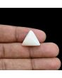 Japani White Coral 10.99 Carat 
