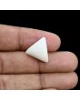 Japani White Coral 10.99 Carat 