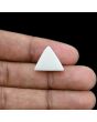 Japani White Coral 10.99 Carat 